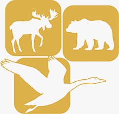 Loader Logo